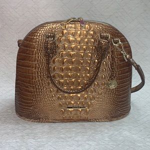 Gorgeous Brahmin Georgina